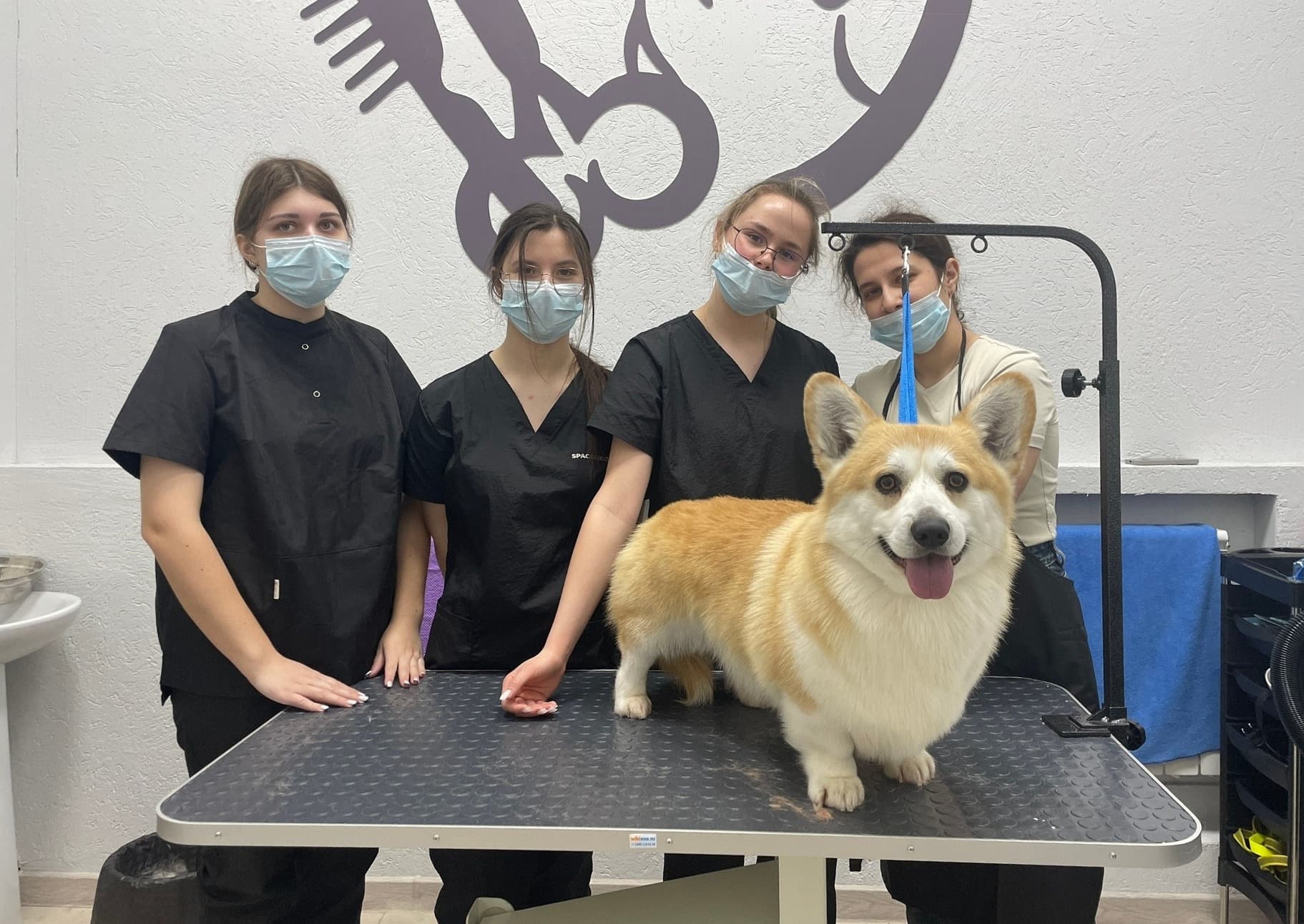 Учебно-кинологический центр рязанского колледжа реализует комплексную программу помощи бездомным собакам